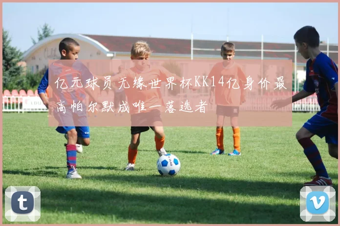 亿元球员无缘世界杯KK14亿身价最高帕尔默成唯一落选者